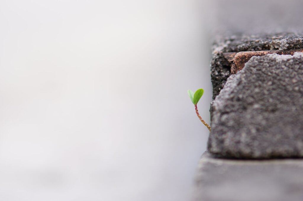 Growth vs Value Investing: Which Wins in 2026?