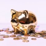 How to Maximize Your Savings with High-Yield Accounts in 2026