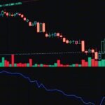 Market Order vs. Limit Order: Execution & Risk for Traders